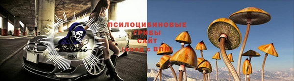 герыч Вязьма