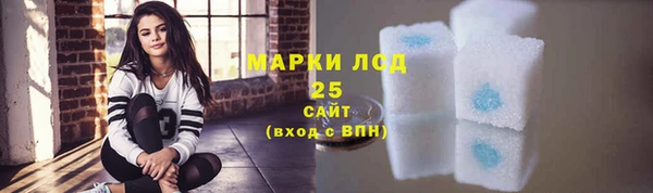 Альфа ПВП Горняк